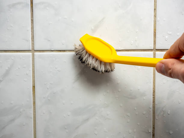 Best Health and Safety Mold Remediation in Ben Bolt, TX
