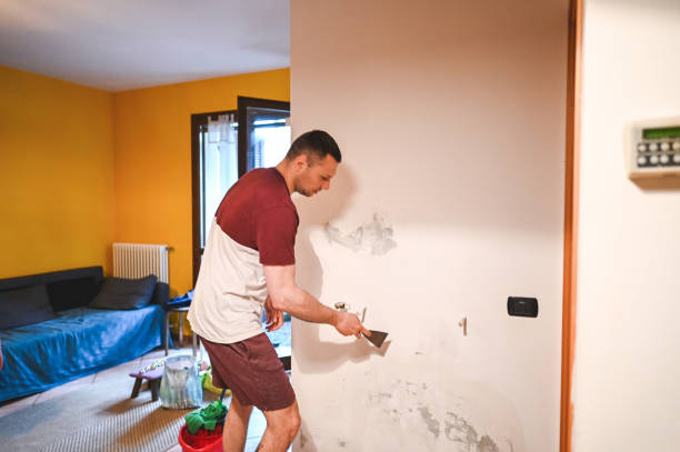 Best Basement Mold Remediation in Ben Bolt, TX
